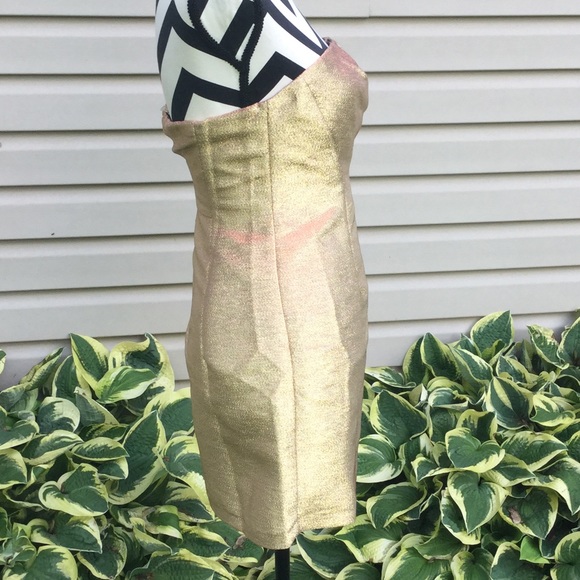 NWT Express Gold Metallic Strapless Sheath Dress - Picture 8 of 8